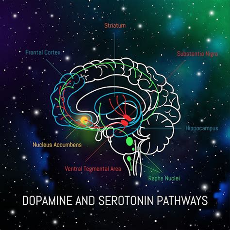 dopamina e serotonina - pressão 14x10 e perigoso